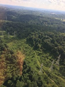 Pennsylvania State Police/West Mifflin Police uncover marijuana grow in wooded area