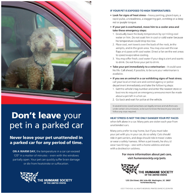 ???? Don’t Leave Your Pet In A Locked Car. ????